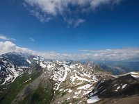 CH, Bern, Lauterbrunnen, Schilthorn 5, Saxifraga-Bart Vastenhouw