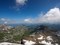 CH, Bern, Lauterbrunnen, Schilthorn 6, Saxifraga-Bart Vastenhouw