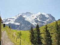 CH, Bern, Lauterbrunnen, Wengen-Kleine Scheidegg 1, Saxifraga-Tom Heijnen