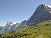 CH, Bern, Lauterbrunnen, near Kleine Scheidegg 1, Saxifraga-Tom Heijnen