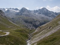 CH, Graubuenden, Val Muestair, Stilfserjoch 1, Saxifraga-Luuk Vermeer