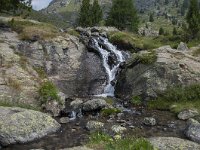 CH, Graubuenden, Val Muestair, Stilfserjoch 10, Saxifraga-Luuk Vermeer