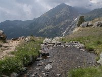 CH, Graubuenden, Val Muestair, Stilfserjoch 11, Saxifraga-Luuk Vermeer