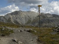 CH, Graubuenden, Zernez, SNP, Munt Chavagl 1, Saxifraga-Jan van der Straaten