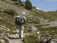 CH, Graubuenden, Zernez, SNP, Munt de la Schera 1, Saxifraga-Marijke Verhagen