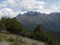 CH, Graubuenden, Zernez, SNP, Munt de la Schera 2, Saxifraga-Marijke Verhagen