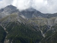 CH, Graubuenden, Zernez, SNP, Piz Murter 1, Saxifraga-Jan van der Straaten