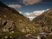 CH, Graubuenden, Zernez, Susasca Fluelapass 1, Saxifraga-Bas Klaver