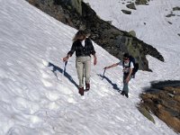 CH, Ticino, Airolo, Alpe di Lucendro 2, Saxifraga-Jan van der Straaten