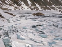 CH, Ticino, Airolo, Lago della Sella 1, Saxifraga-Jan van der Straaten