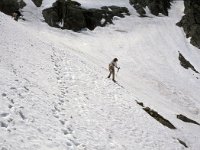 CH, Ticino, Airolo, Passe di Lucendro 2, Saxifraga-Jan van der Straaten