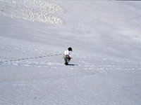 CH, Ticino, Airolo, Passe di Lucendro 3, Saxifraga-Jan van der Straaten