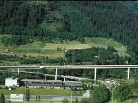 CH, Ticino, Airolo, Passo del San Gottardo 1, Saxifraga-Jan van der Straaten