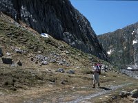 CH, Ticino, Airolo, Passo del San Gottardo 6, Saxifraga-Jan van der Straaten