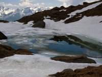 CH, Ticino, Airolo, Passo di Gana Negra 8, Saxifraga-Jan van der Straaten