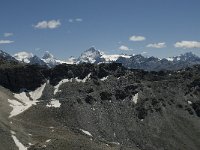 CH, Wallis, Anniviers, Dent Blanche 1, Saxifraga-Willem van Kruijsbergen