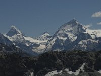 CH, Wallis, Anniviers, Dent Blanche 4, Saxifraga-Willem van Kruijsbergen