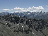 CH, Wallis, Anniviers, Schwarzhorn 7, Saxifraga-Willem van Kruijsbergen