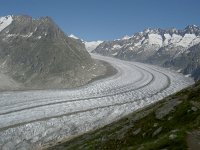 CH, Wallis, Bettmeralp, Aletschgletscher 1, Saxifraga-Luuk Vermeer