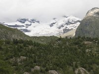 CH, Wallis, Blatten, Jegigletscher 2, Saxifraga-Willem van Kruijsbergen