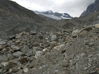 CH, Wallis, Blatten, Loetschental, Langgletscher 13, Saxifraga-Willem van Kruijsbergen