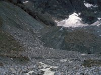 CH, Wallis, Evolène, Glacier de Mont Collon 2, Saxifraga-Jan van der Straaten