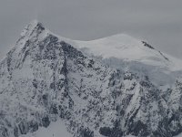 CH, Wallis, Fiesch, Eggishorn, Aletschhorn 4, Saxifraga-Willem van Kruijsbergen