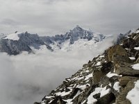 CH, Wallis, Fiesch, Eggishorn, Aletschhorn 7, Saxifraga-Willem van Kruijsbergen