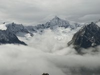 CH, Wallis, Fiesch, Eggishorn, Aletschhorn 8, Saxifraga-Willem van Kruijsbergen