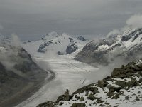 CH, Wallis, Fiesch, Eggishorn, Konkardiaplatz-Truegberg 3, Saxifraga-Willem van Kruijsbergen