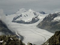 CH, Wallis, Fiesch, Eggishorn, Konkardiaplatz-Truegberg 4, Saxifraga-Willem van Kruijsbergen