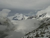 CH, Wallis, Fiesch, Eggishorn, Konkardiaplatz-Truegberg 5, Saxifraga-Willem van Kruijsbergen