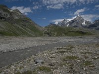 CH, Wallis, Leukerbad, Lammerenboden 17, Saxifraga-Willem van Kruijsbergen