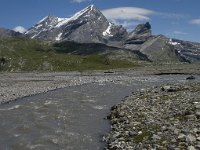 CH, Wallis, Leukerbad, Lammerenboden 21, Saxifraga-Willem van Kruijsbergen