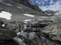 CH, Wallis, Leukerbad, Lammerenboden 4, Saxifraga-Willem van Kruijsbergen