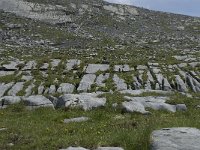 CH, Wallis, Leukerbad, Lammerendalu 9, Saxifraga-Willem van Kruijsbergen