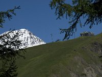 CH, Wallis, Leukerbad, Rinderhuette 2, Saxifraga-Willem van Kruijsbergen