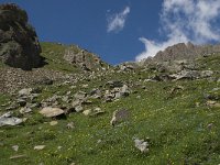 CH, Wallis, Leukerbad, Rinderhuette-Wysse See 10, Saxifraga-Willem van Kruijsbergen