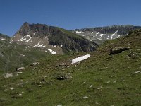 CH, Wallis, Leukerbad, Rinderhuette-Wysse See 8, Saxifraga-Willem van Kruijsbergen