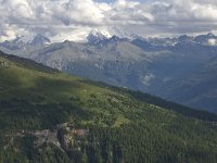 CH, Wallis, Leukerbad, Torrentalp 17, Saxifraga-Willem van Kruijsbergen