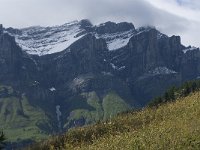 CH, Wallis, Leukerbad, Trubelstock 2, Saxifraga-Willem van Kruijsbergen