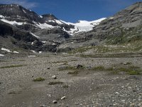 CH, Wallis, Leukerbad, Wildstrubel 10, Saxifraga-Willem van Kruijsbergen