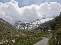 CH, Wallis, Saas-Almagell, Mattmarksee 1, Saxifraga-Luuk Vermeer