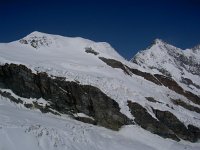 CH, Wallis, Saas-Fee, Alphubel 1, Saxifraga-Luuk Vermeer