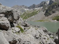 CH, Wallis, Saviese, Col du Sanetsch 3, Saxifraga-Luuk Vermeer