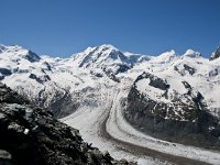 CH, Wallis, Zermatt, Gornergrat 16, Saxifraga-Luuk Vermeer