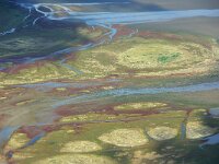 NL, Friesland, Vlieland, Koonspolder 28, Saxifraga-Foto Fitis-Sytske Dijksen