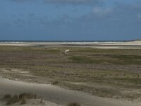 NL, Noord-Holland, Texel, De Slufter 42, Saxifraga-Willem van Kruijsbergen