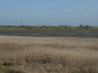NL, Noord-Holland, Texel, Mok 1, Saxifraga-Willem van Kruijsbergen