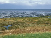 NL, Zeeland, Reimerswaal, Noordhoek 1, Saxifraga-Jan van der Straaten